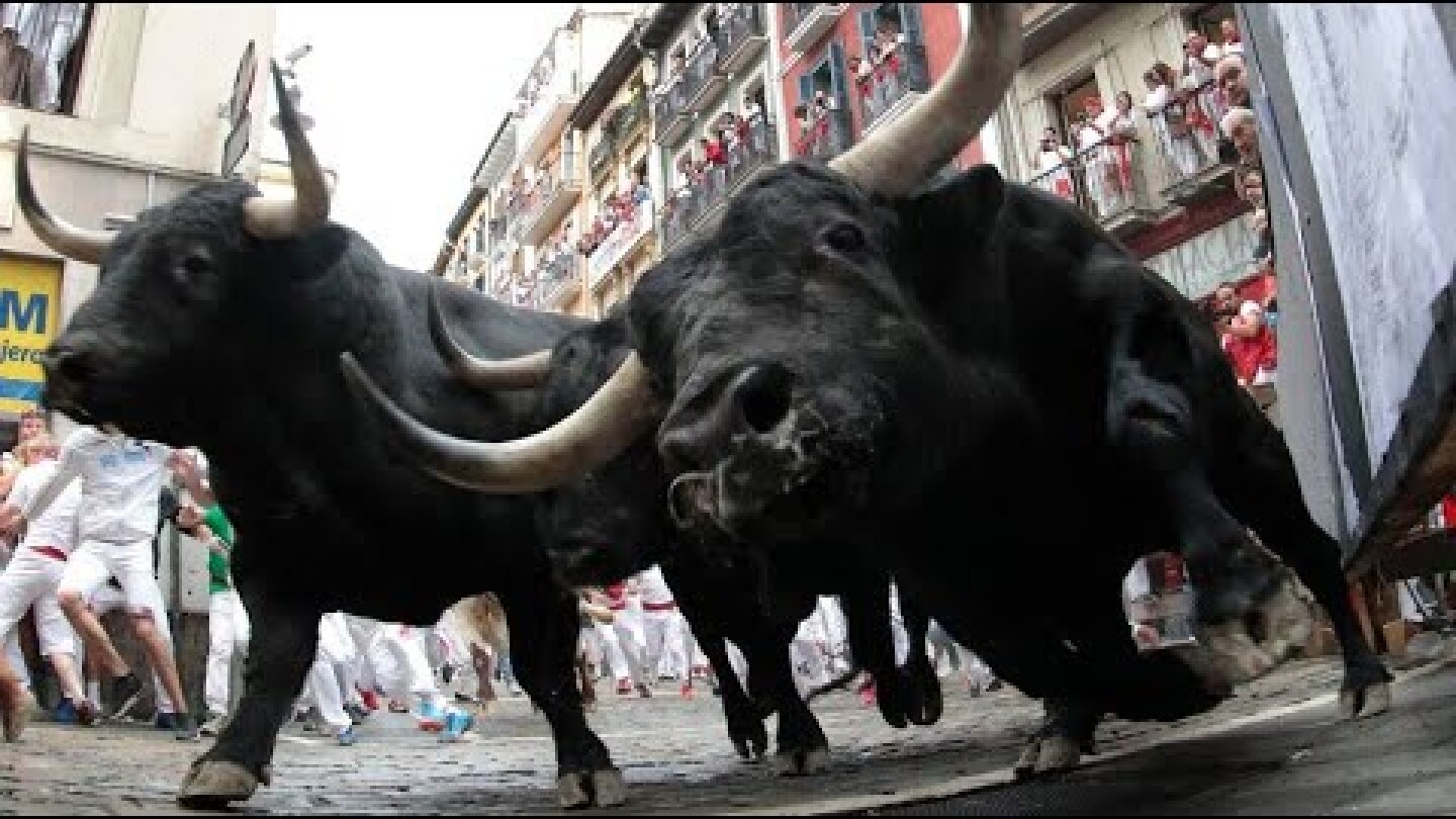 Schon fünf Verletzte: Stierrennen in Pamplona hat begonnen