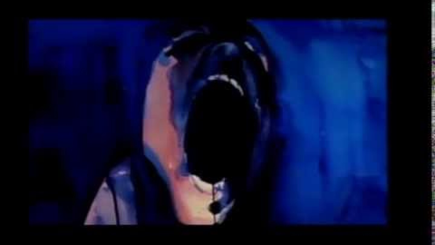 Pink Floyd - The Wall (Original 1982 Film Trailer Taken From Laserdisc)