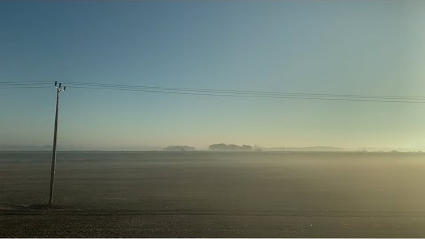 Roger & Brian Eno – Celeste