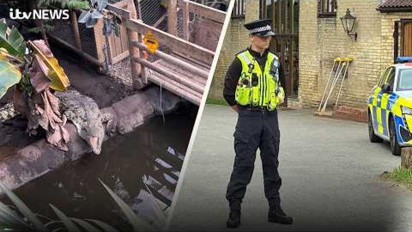 Three-year-old 'critically injured' in crocodile enclosure - what we know so far