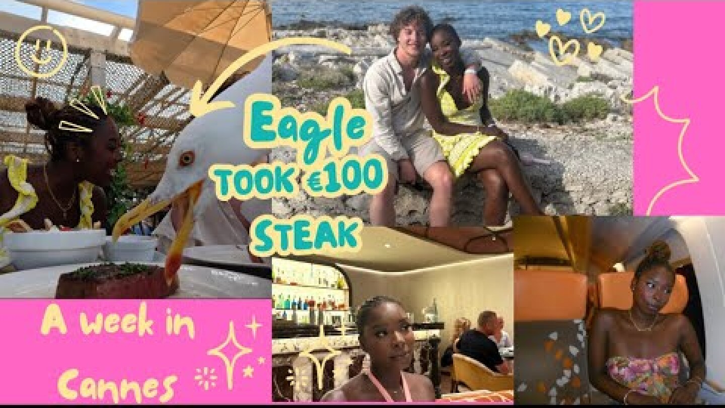 Bday trip in SOF…Eagle stole €100 steak