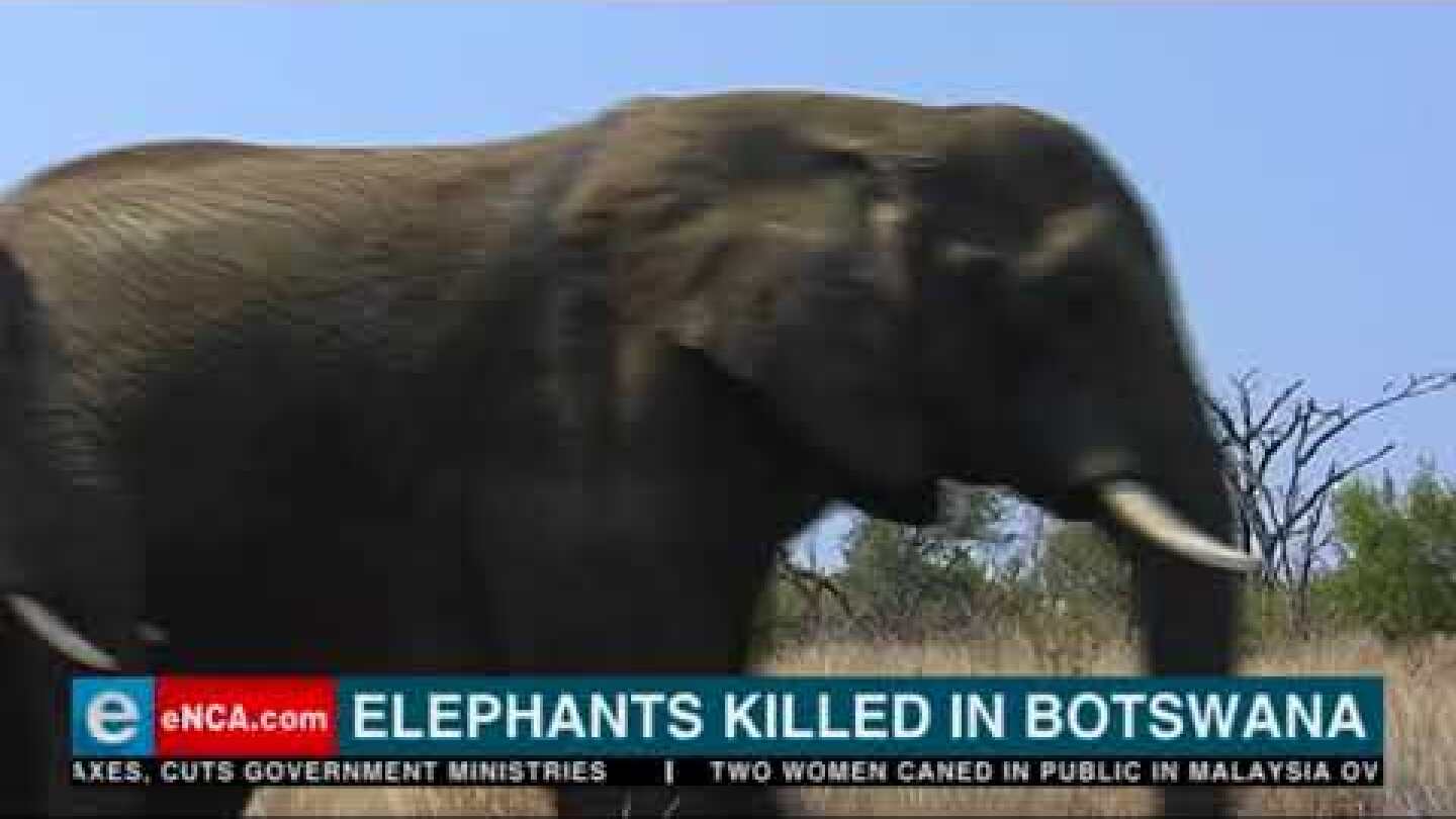 Elephants killed in Botswana