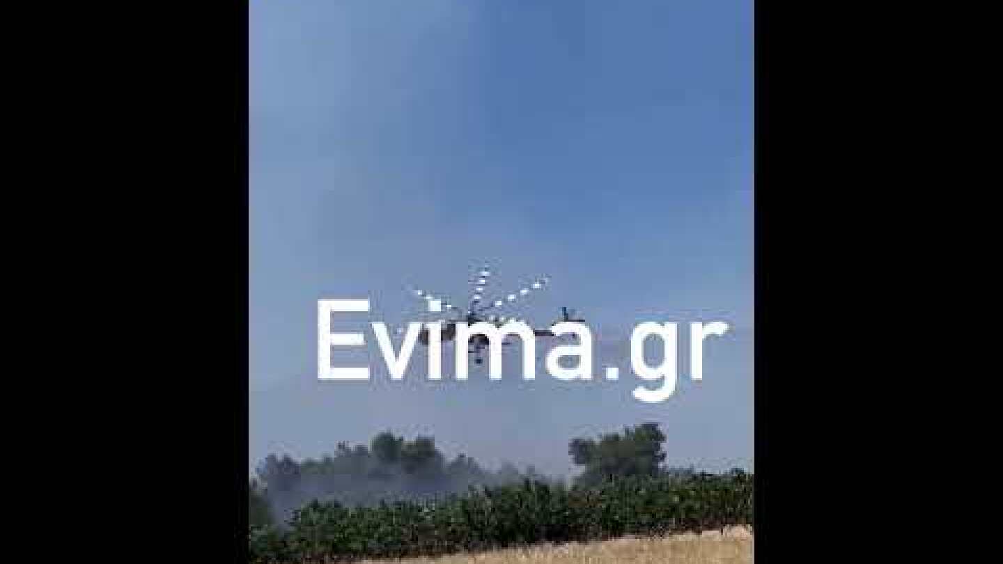 Φωτιά στη Ριτσώνα