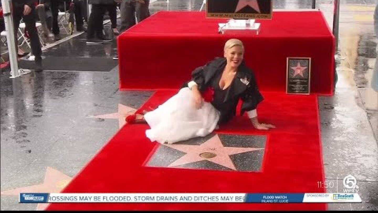 Pink to give banned books to Florida fans