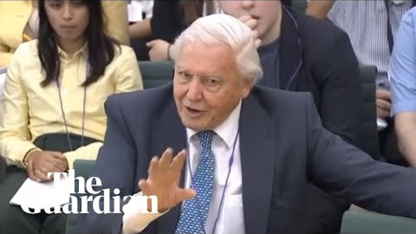 'We cannot be radical enough': David Attenborough urges action on climate emergency