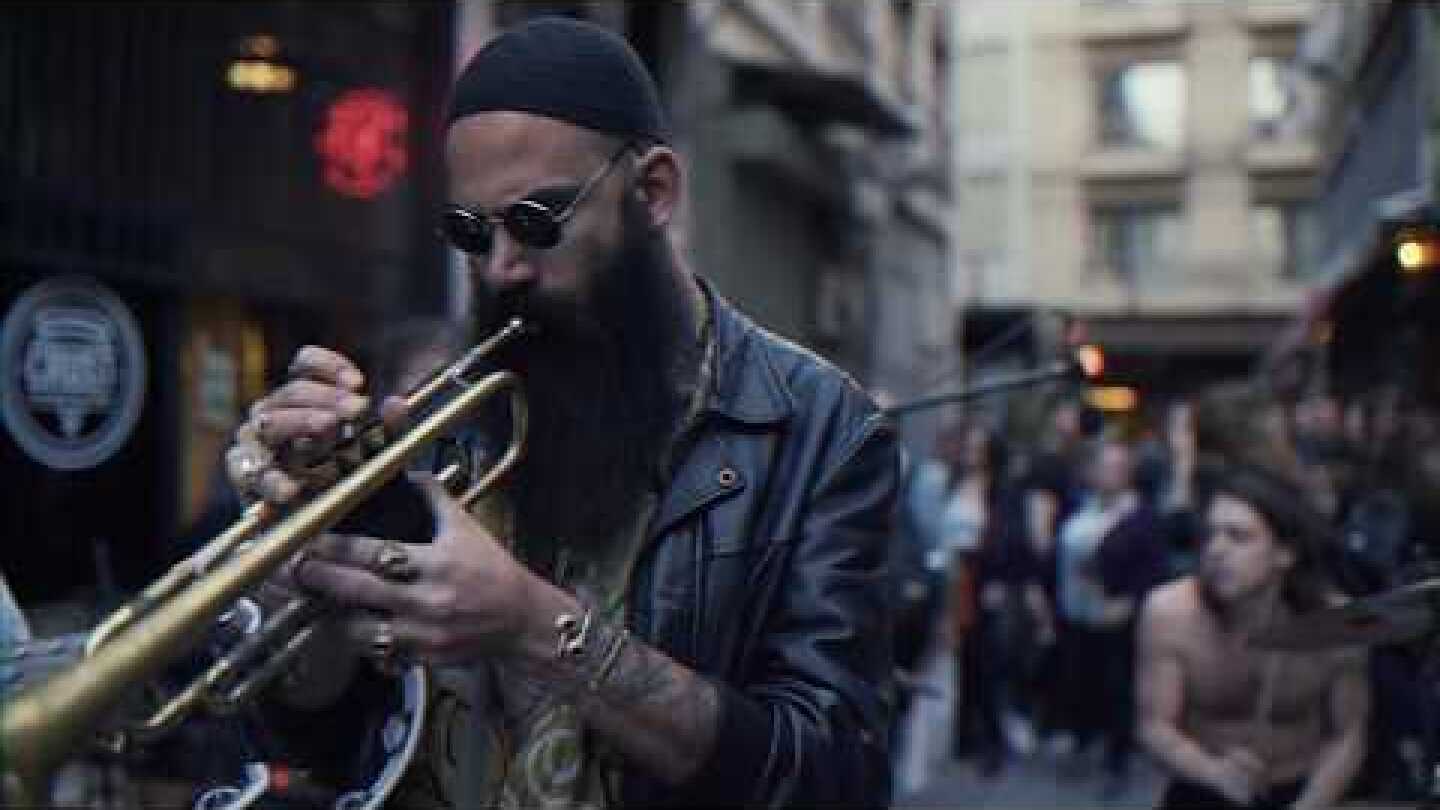 CHICKN - The Elevational Love of Frank Zappa // LIVE