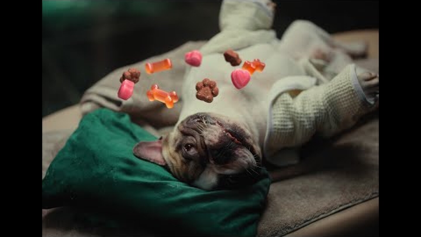 Chill. Time to ✨treat yourself✨