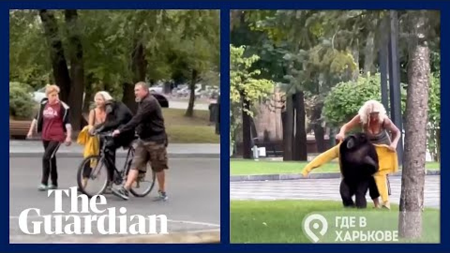 Chimp escapes from Kharkiv zoo before being given raincoat and taken back on bike