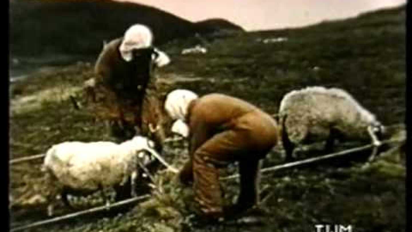 Gruinard Island X-Base Anthrax Trials 1942-43