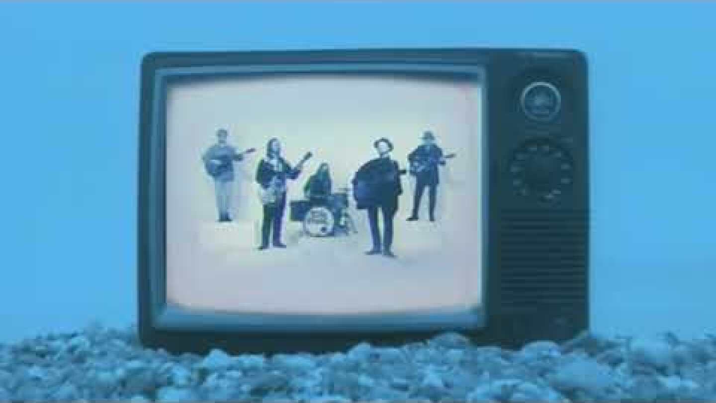 The Coral - Wild Bird (Official Video)