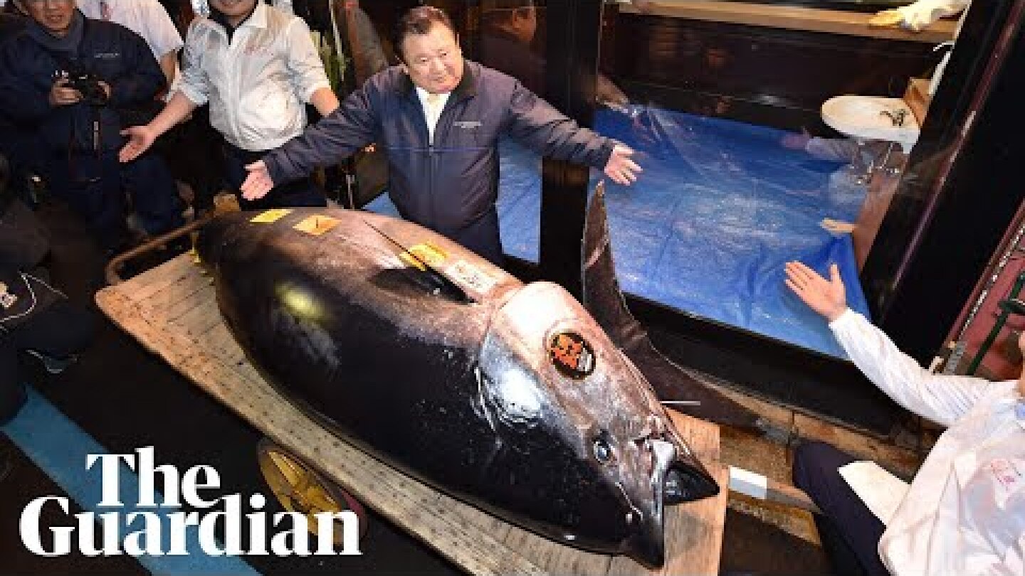 Sushi king pays record price for bluefin tuna