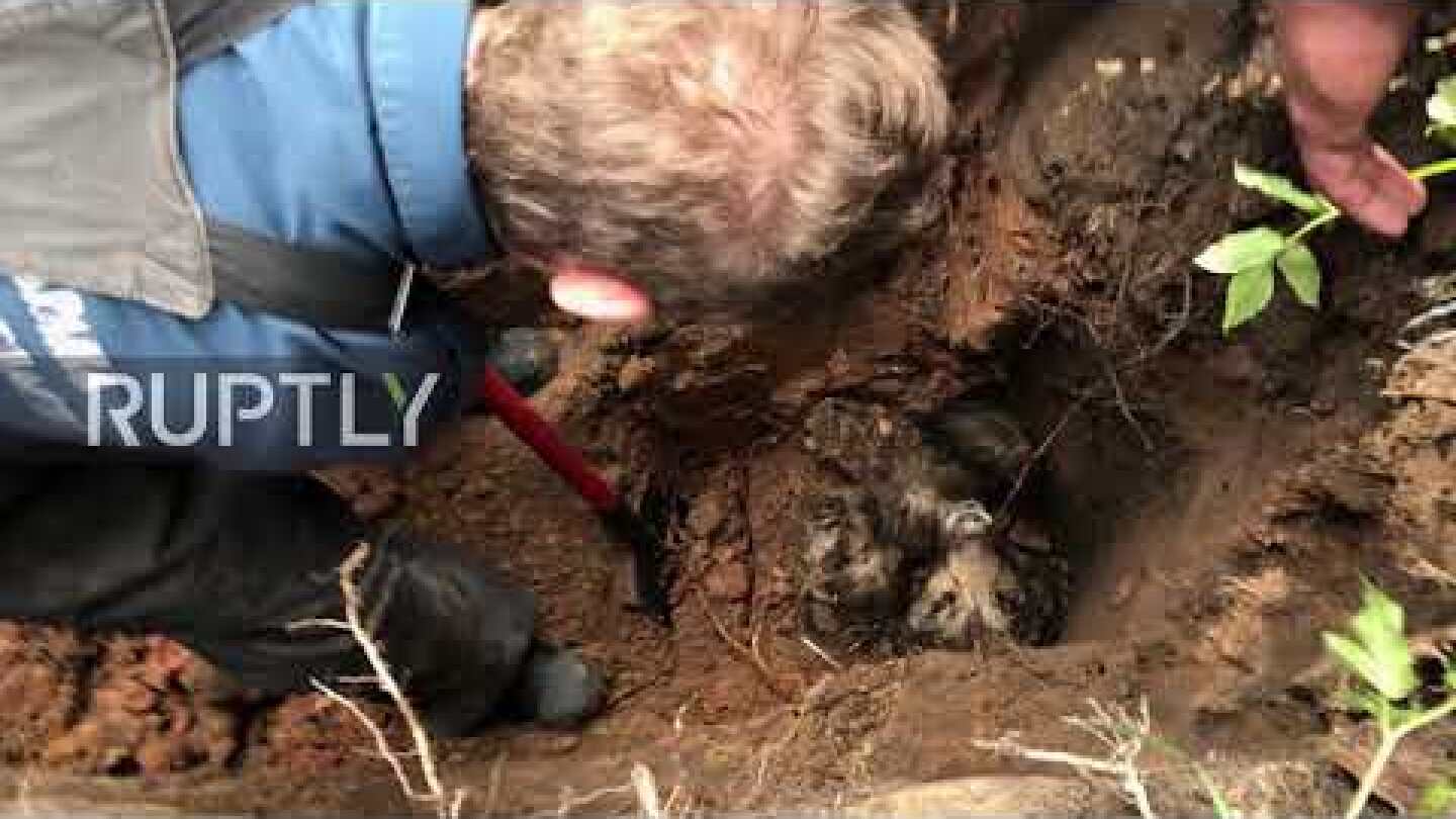 Russia: Firemen rescue dog trapped underground