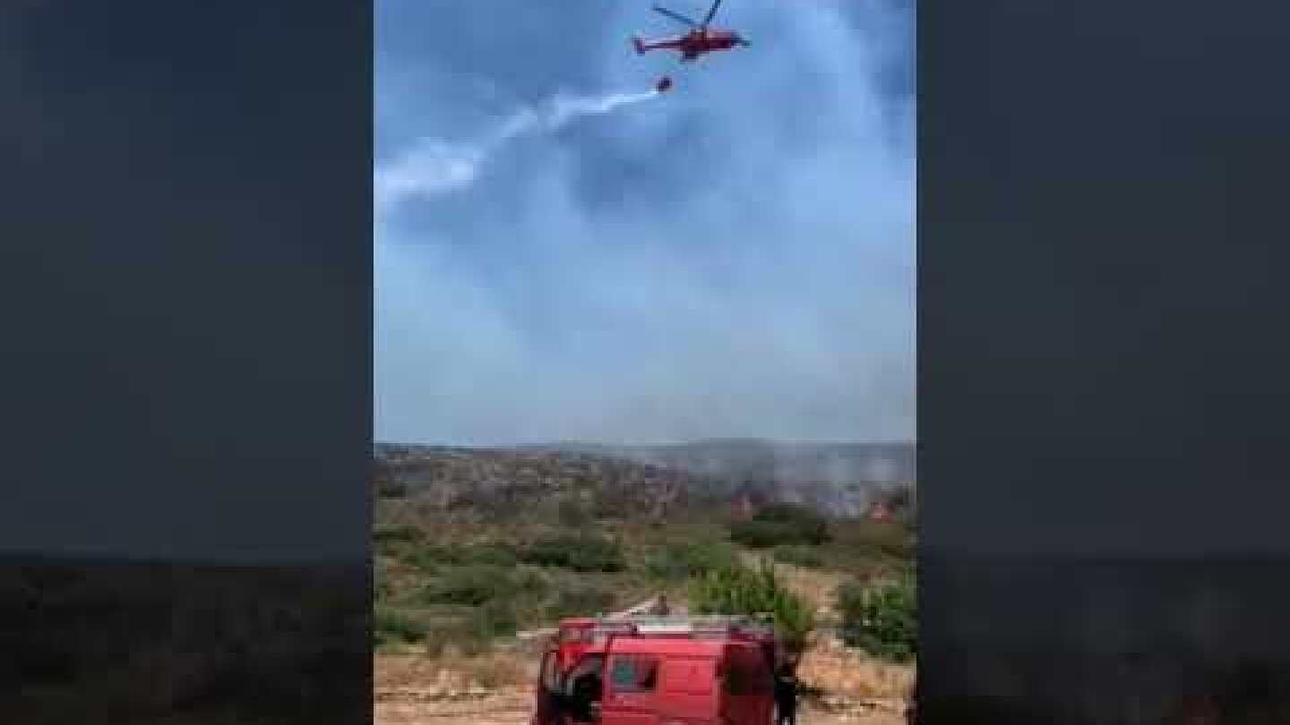 Φωτιά Ελαφόνησος