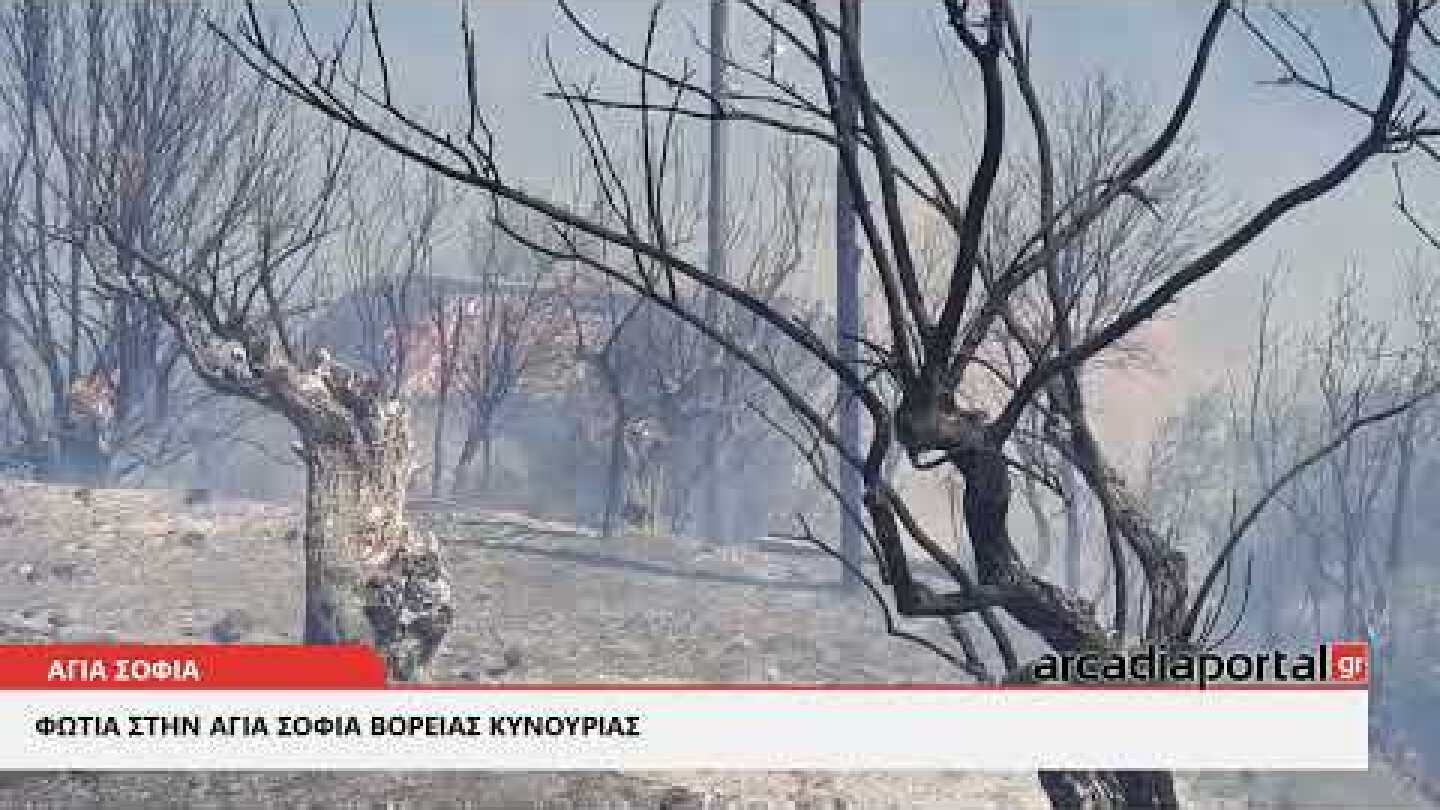 ArcadiaPortal.gr Φωτιά στην Αγία Σοφία 2023