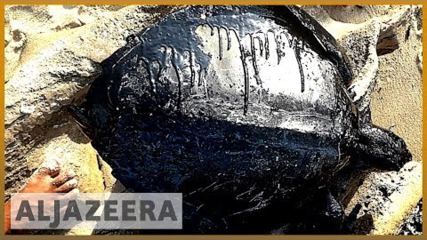 Brazil spill: President says oil is not Brazil's