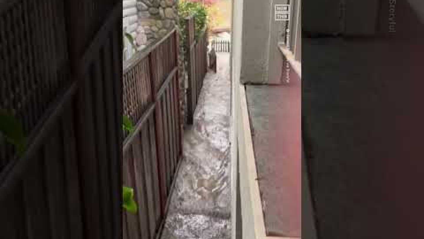Video Shows Deck Floating Away During California Flooding