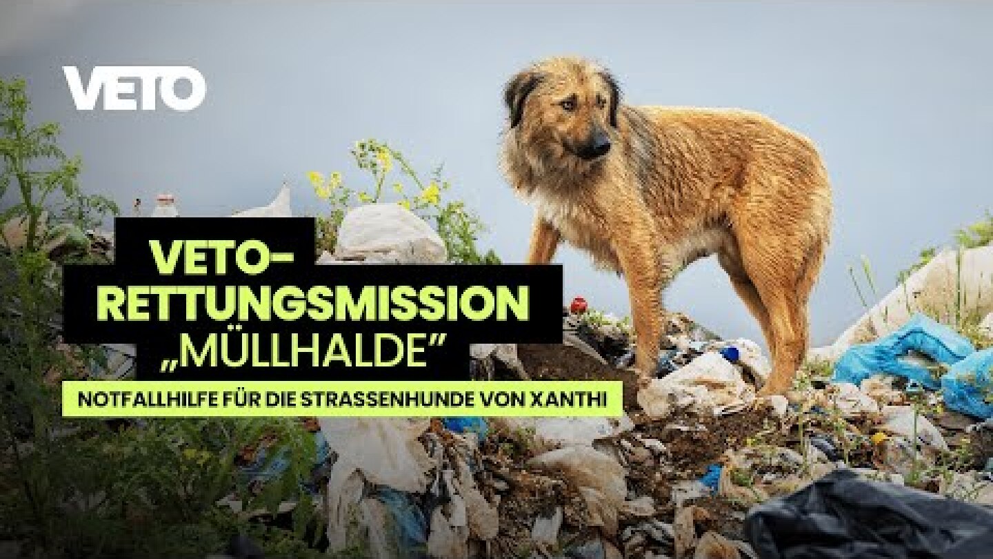 Notfall in Griechenland! | VETO-Rettungsmission „Müllhalde“