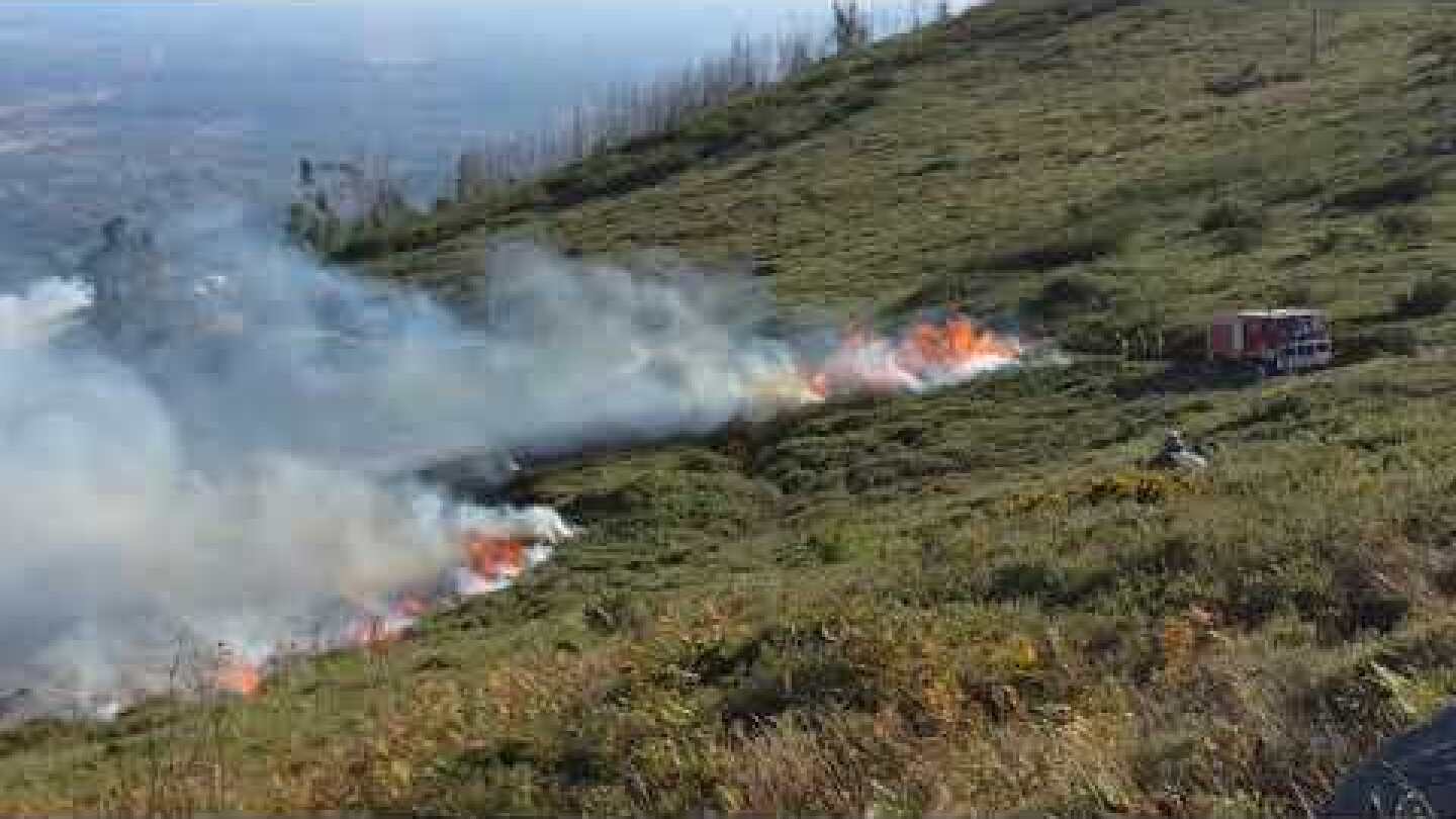 Wildfires in Fóia/Monchique, 8th August 2018