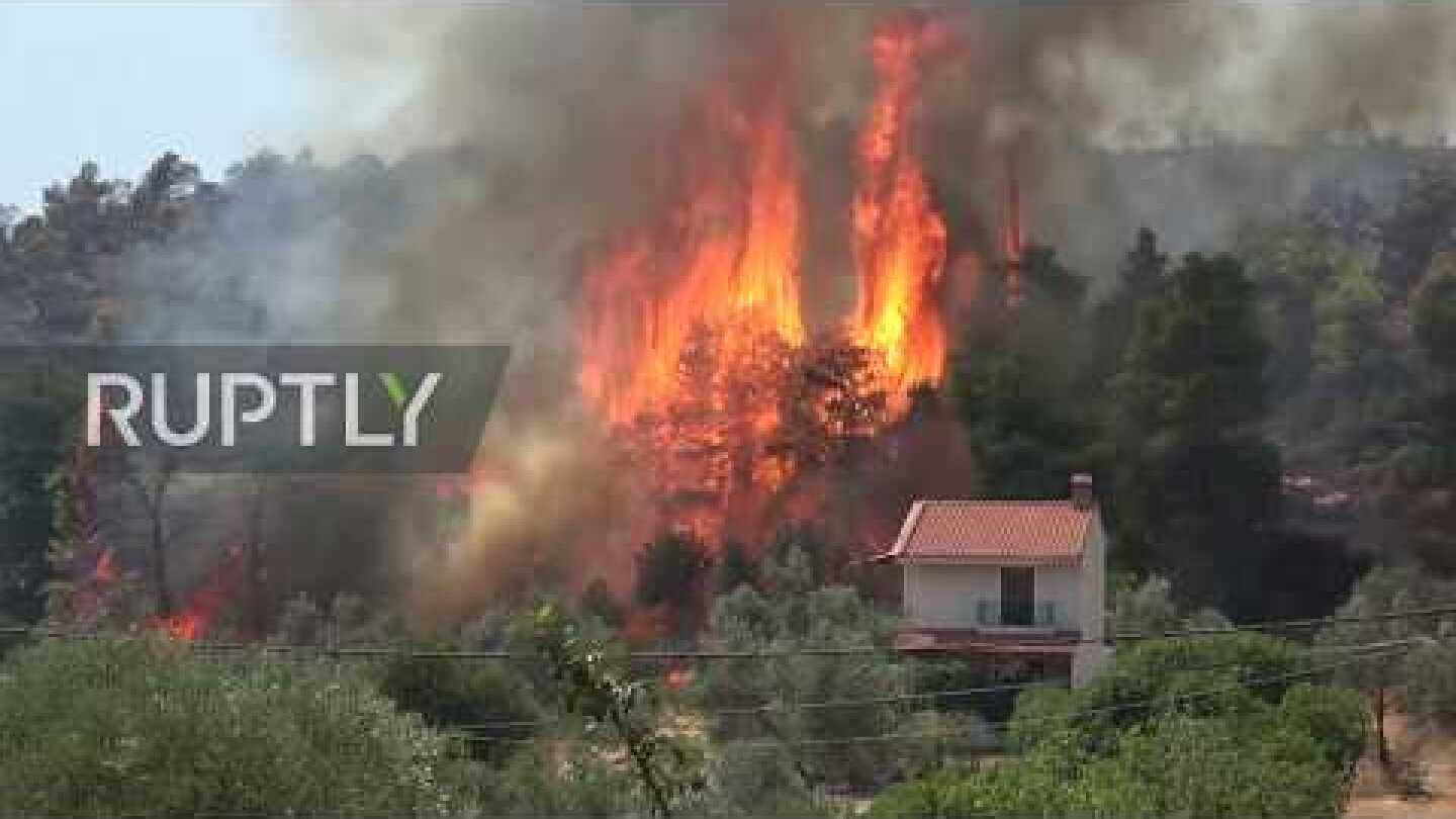 Greece: Residents help firefighters battle wildfires raging on Evia island