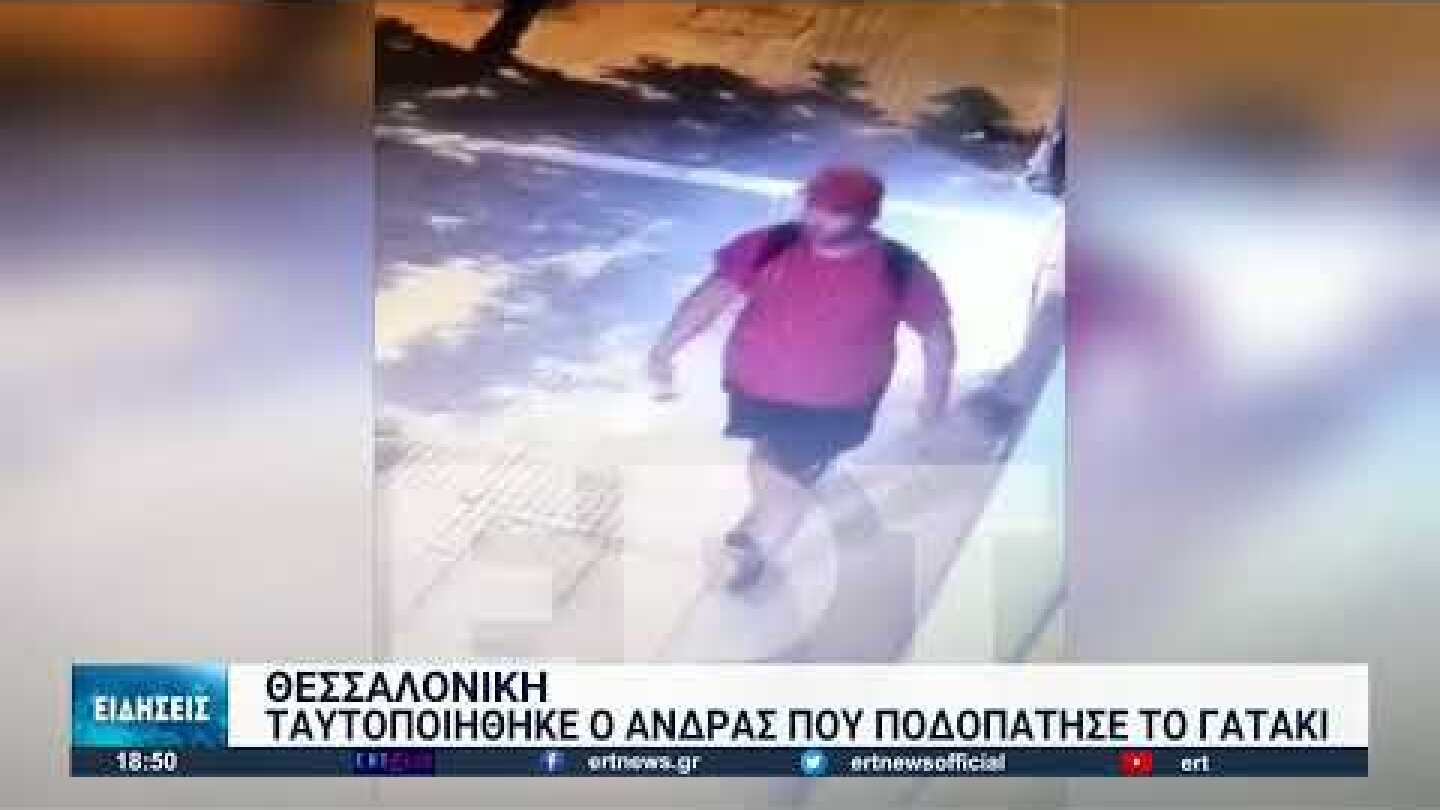 Θεσσαλονίκη: Ταυτοποιήθηκε ο άνδρας που ποδοπάτησε το γατάκι | 05/10/2022 | ΕΡΤ