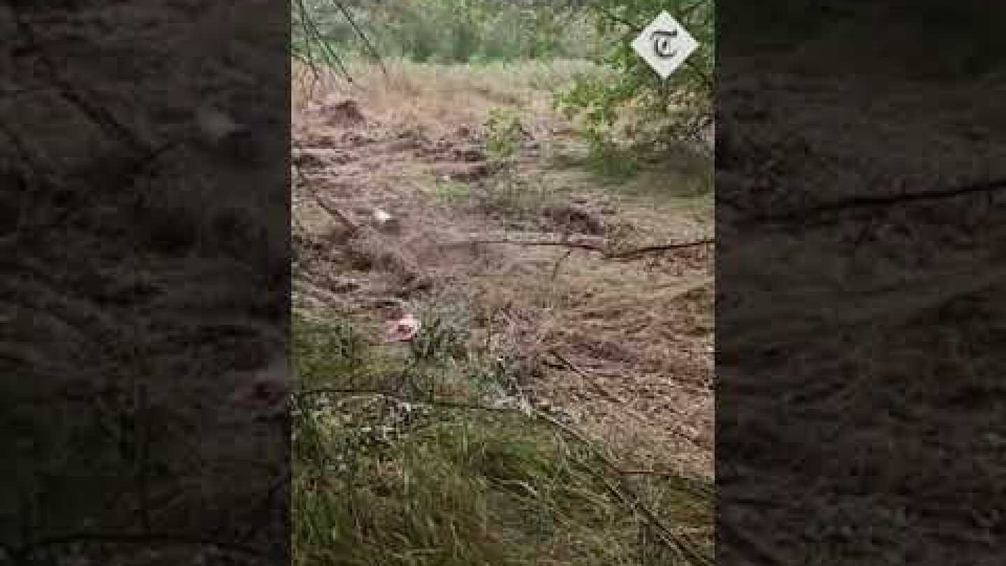 Ukrainian soldier detonates mine with a large stick
