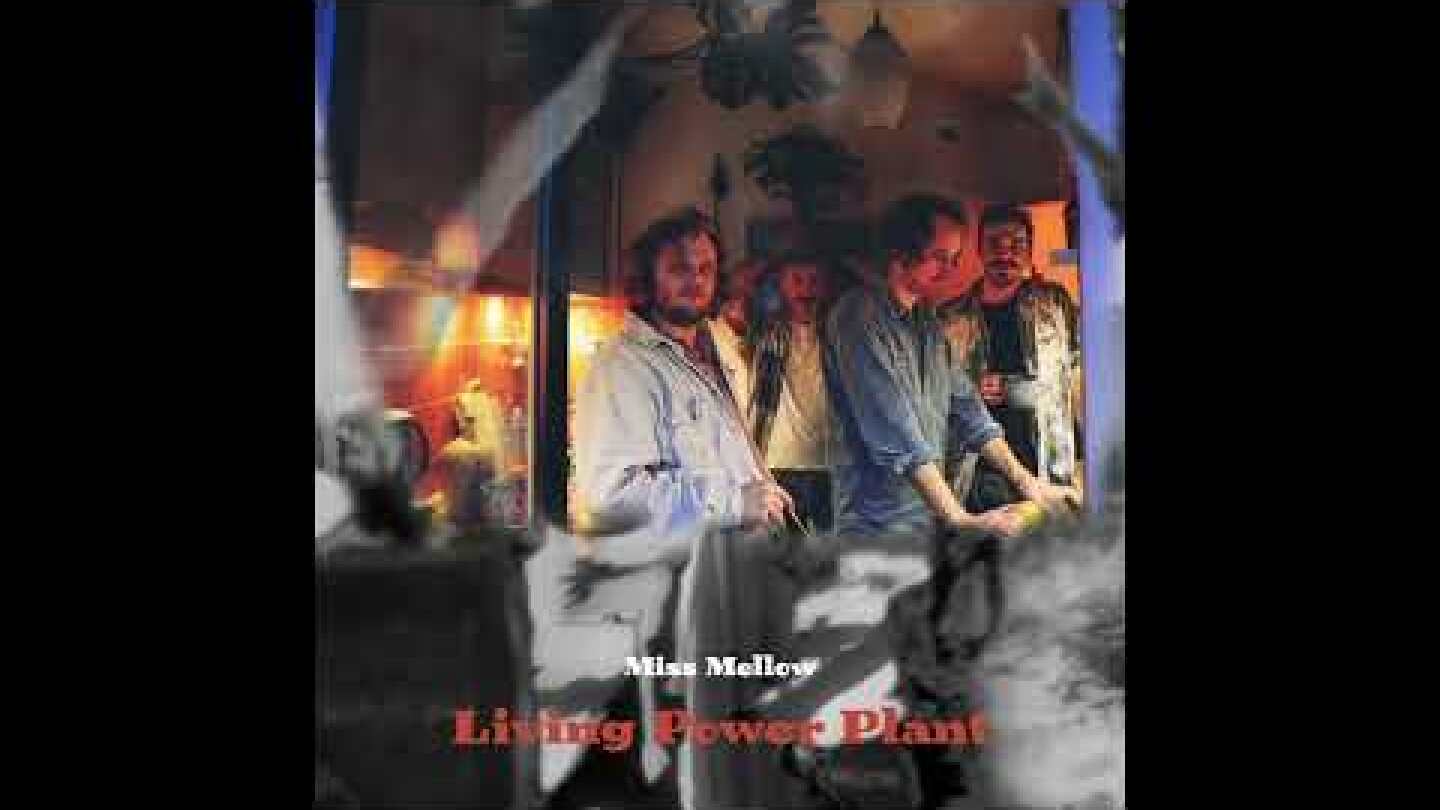 Miss Mellow - Living Power Plant