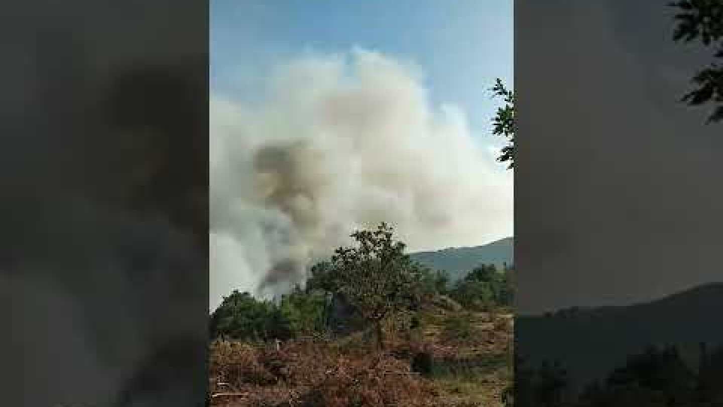 Συνεχίζει το καταστροφικό έργο η φωτιά στη Δαδιά