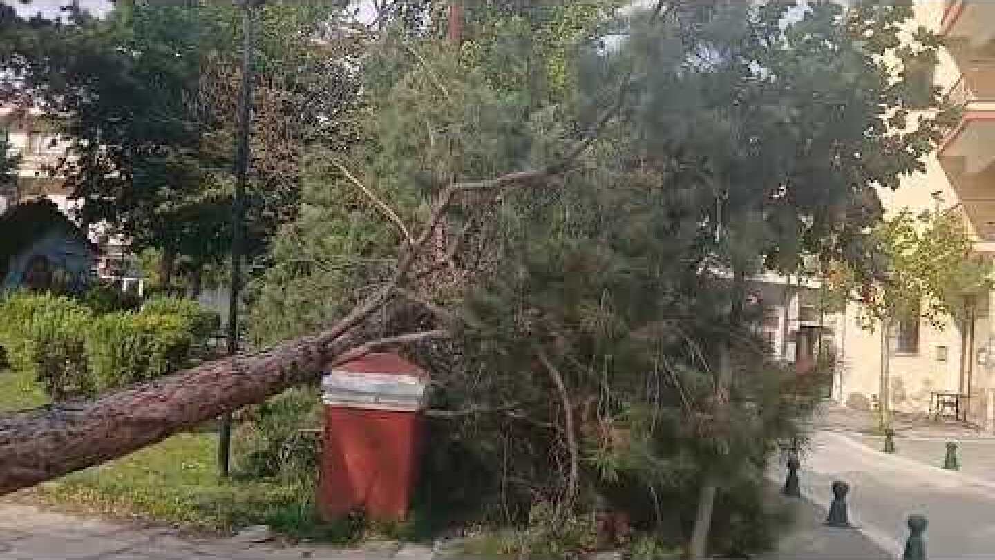 Ισχυροί άνεμοι «σαρώνουν» την Κοζάνη, την Εορδαία και την Καστοριά