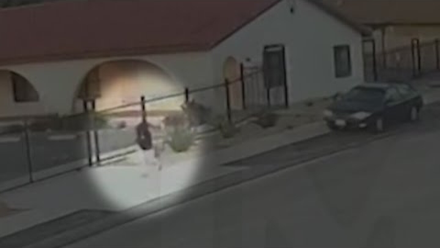 TMZ unearths 2024 video of Celeste Rivas — was it the final time she ran away? | Banfield