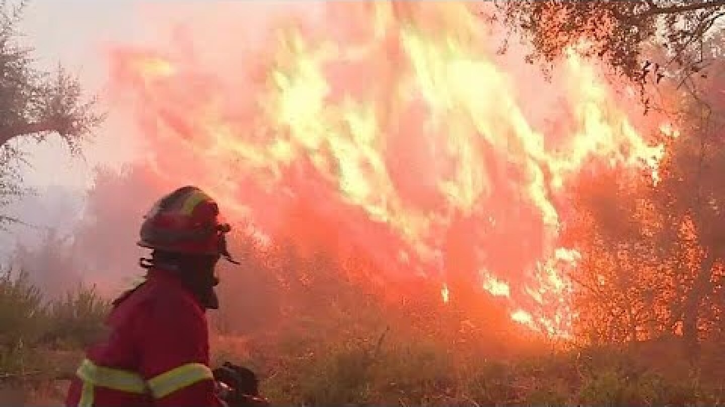 Fogo de Monchique obriga à retirada de cerca de 300 pessoas