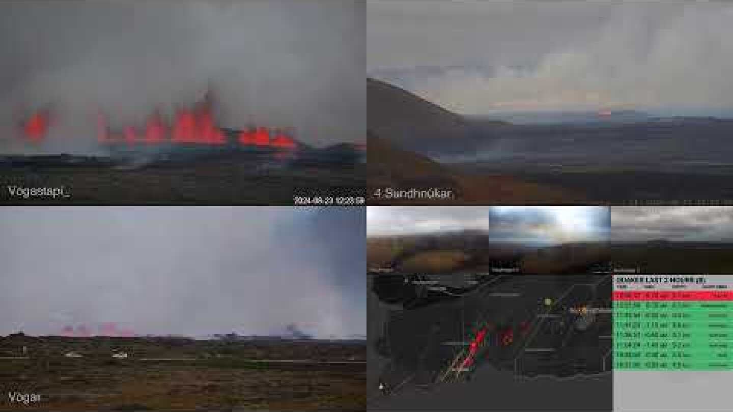 Reykjanes multiview - Live from Iceland