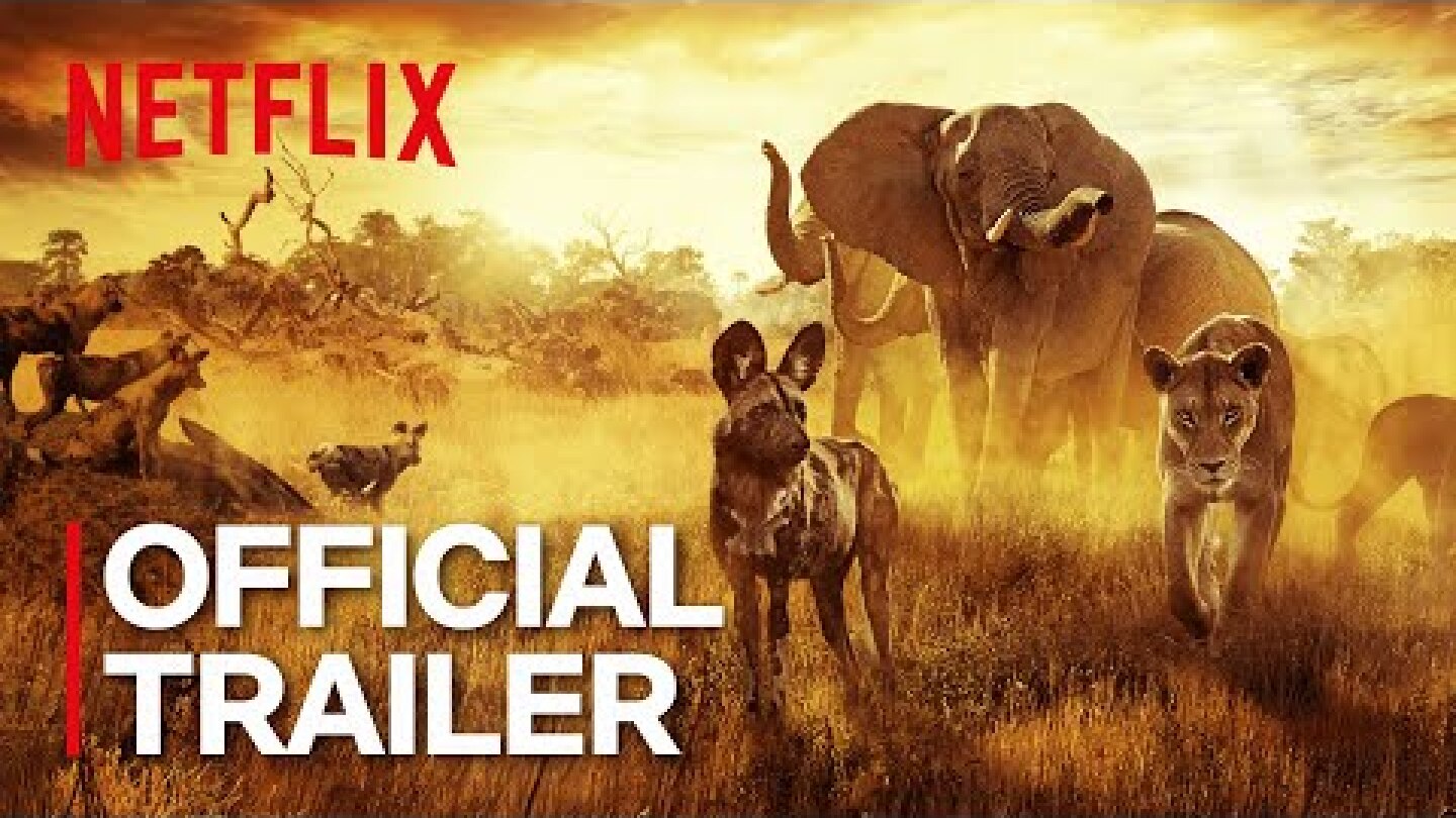 Surviving Paradise: A Family Tale | Official Trailer | Netflix