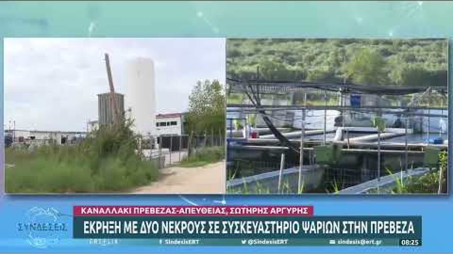 Έκρηξη με δύο νεκρούς σε συσκευαστήριο ψαριών στην Πρέβεζα | 05/09/2022 | ΕΡΤ