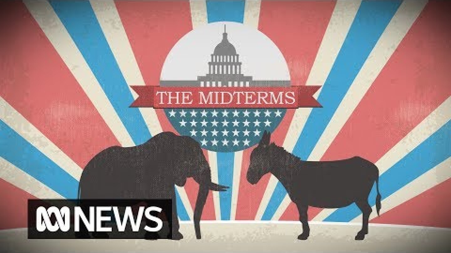 The US midterms explained | World