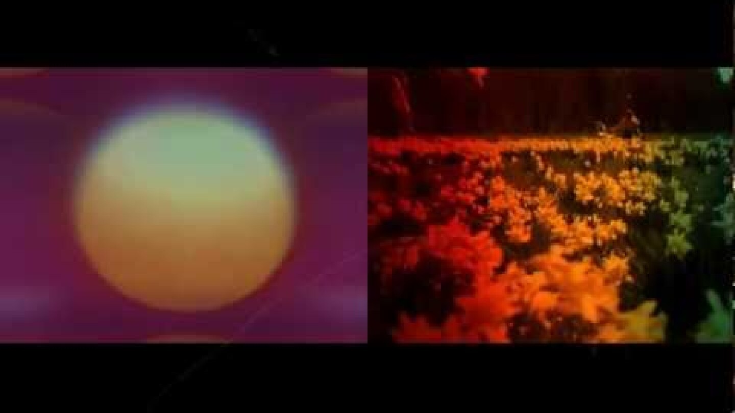 Psychic Ills "One More Time" (Official Music Video)