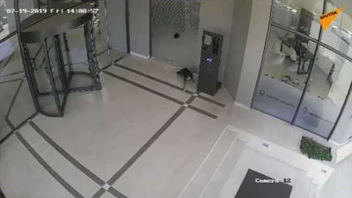 Βίντεο από τη στιγμή του ισχυρού σεισμού 5,1 Ρίχτερ στην Αττική