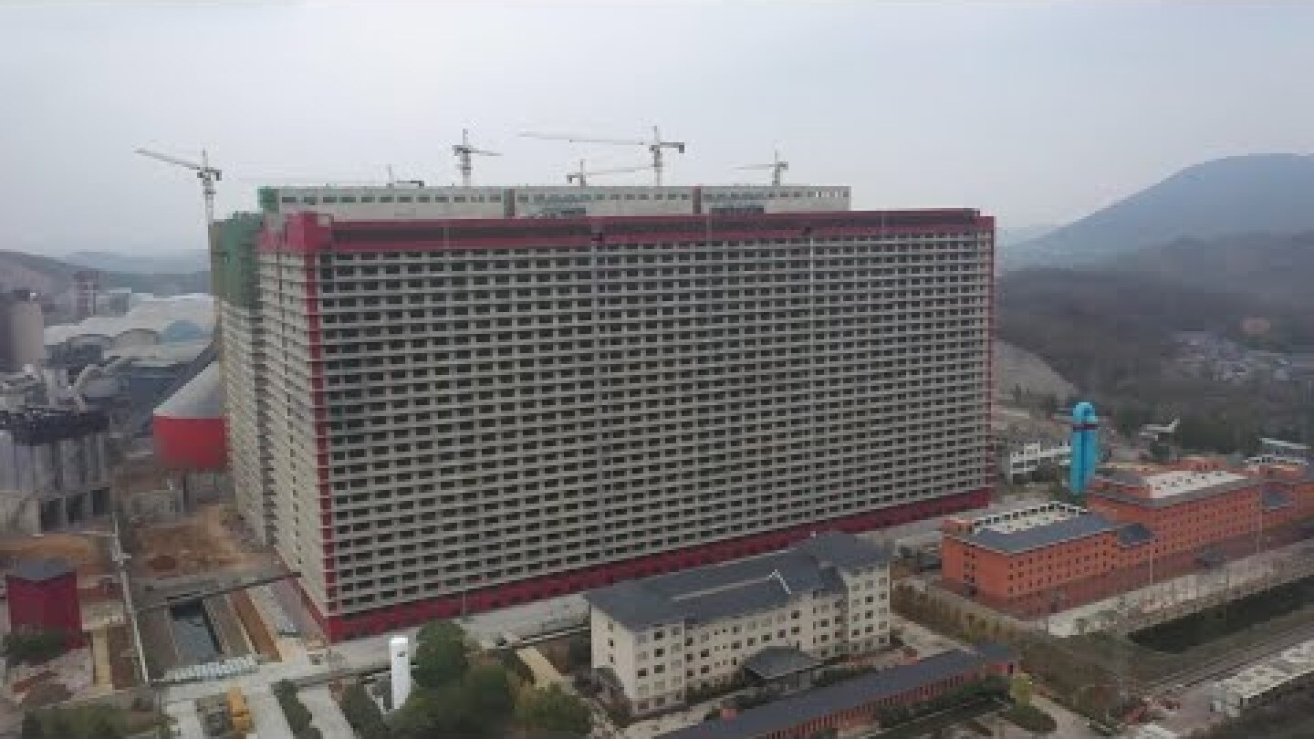 GLOBALink | Raising pigs in a 26-story building in central China