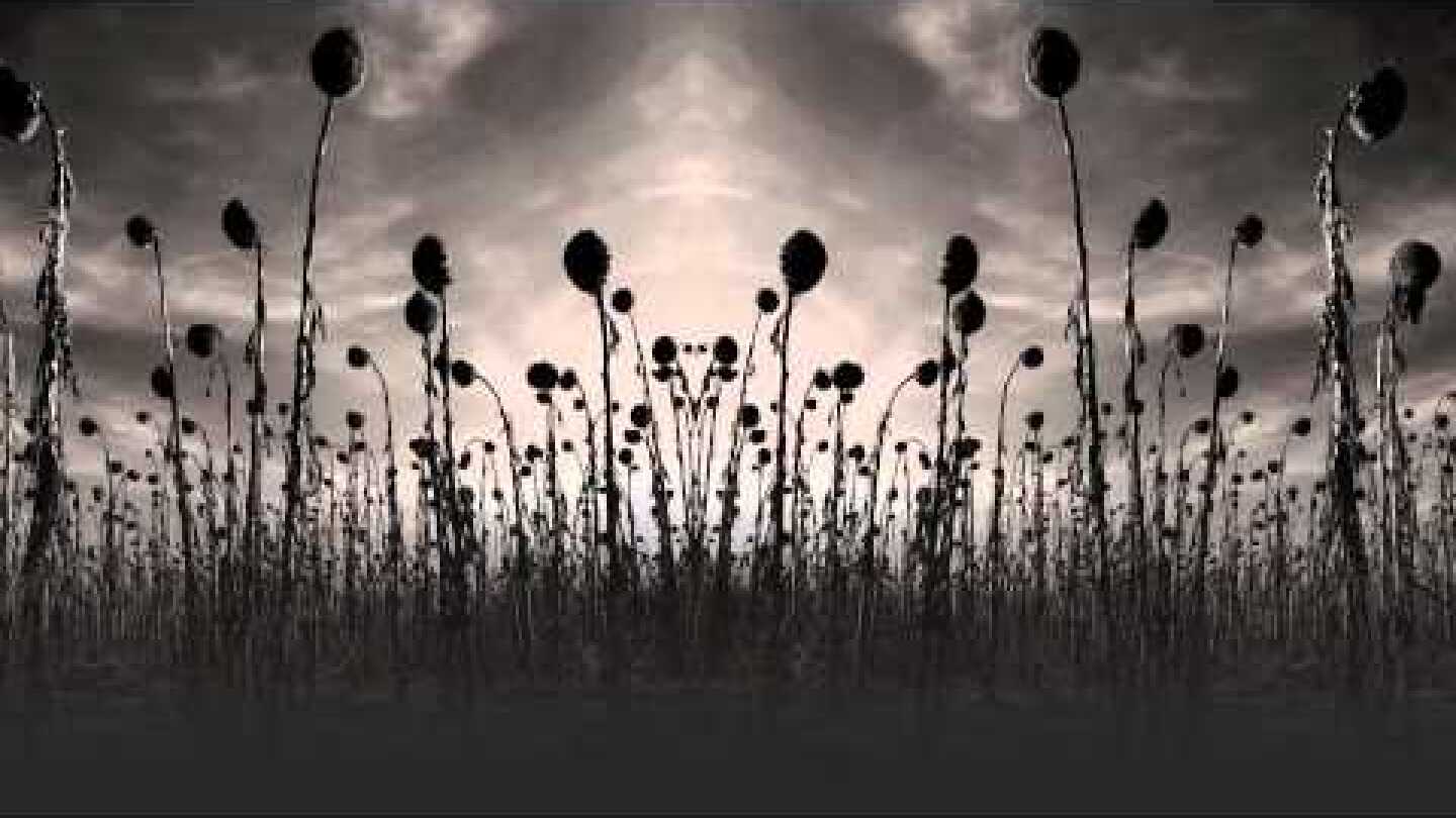 Dead Can Dance - 'Kiko'