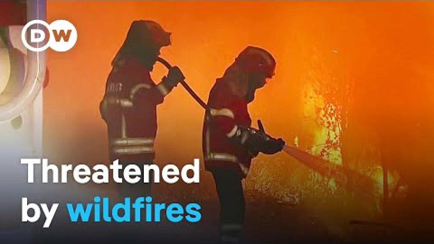 Portugal fights severe wildfires | DW Documentary