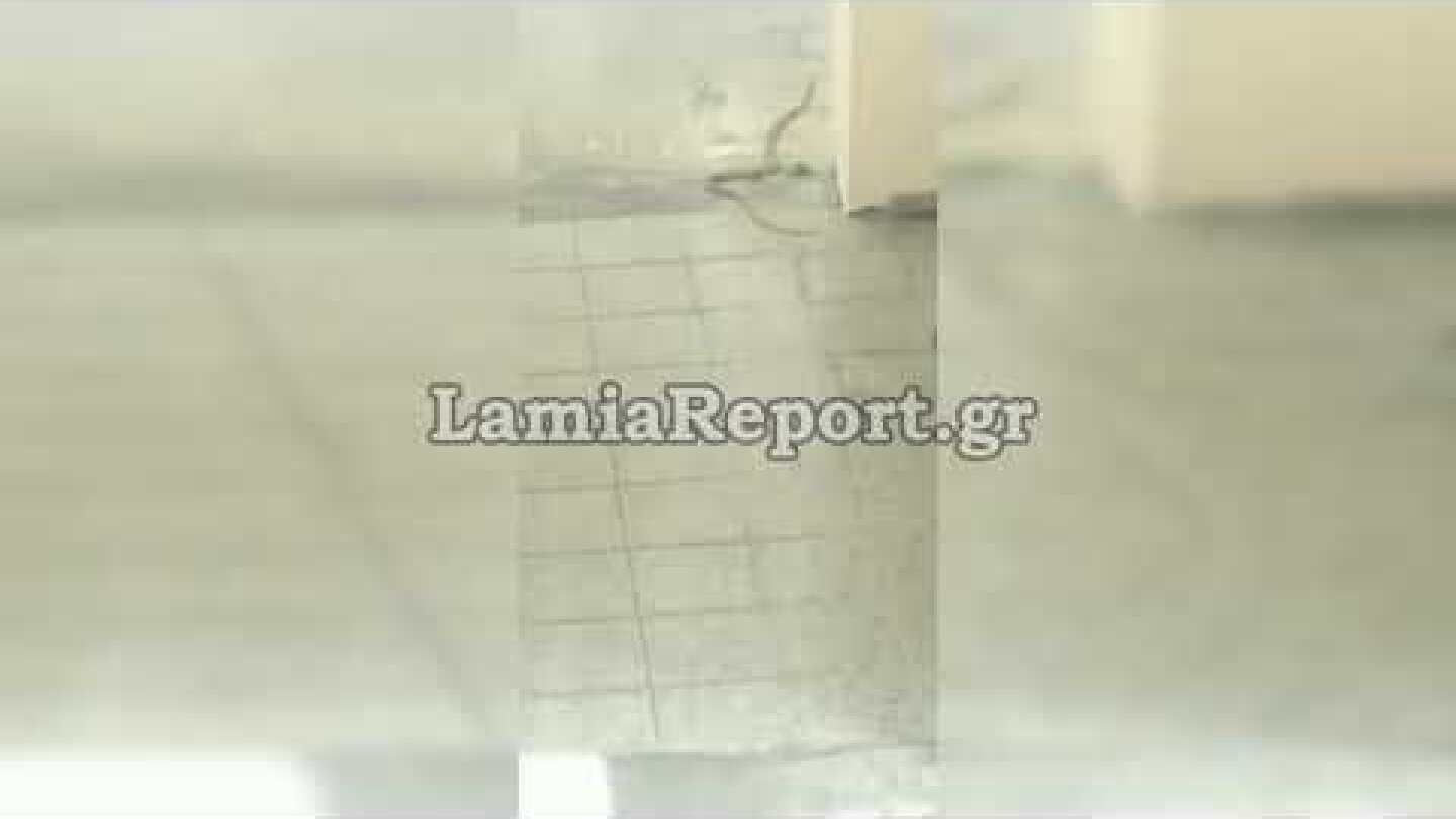 LamiaReport.gr: Φίδι στο κέντρο της Λαμίας