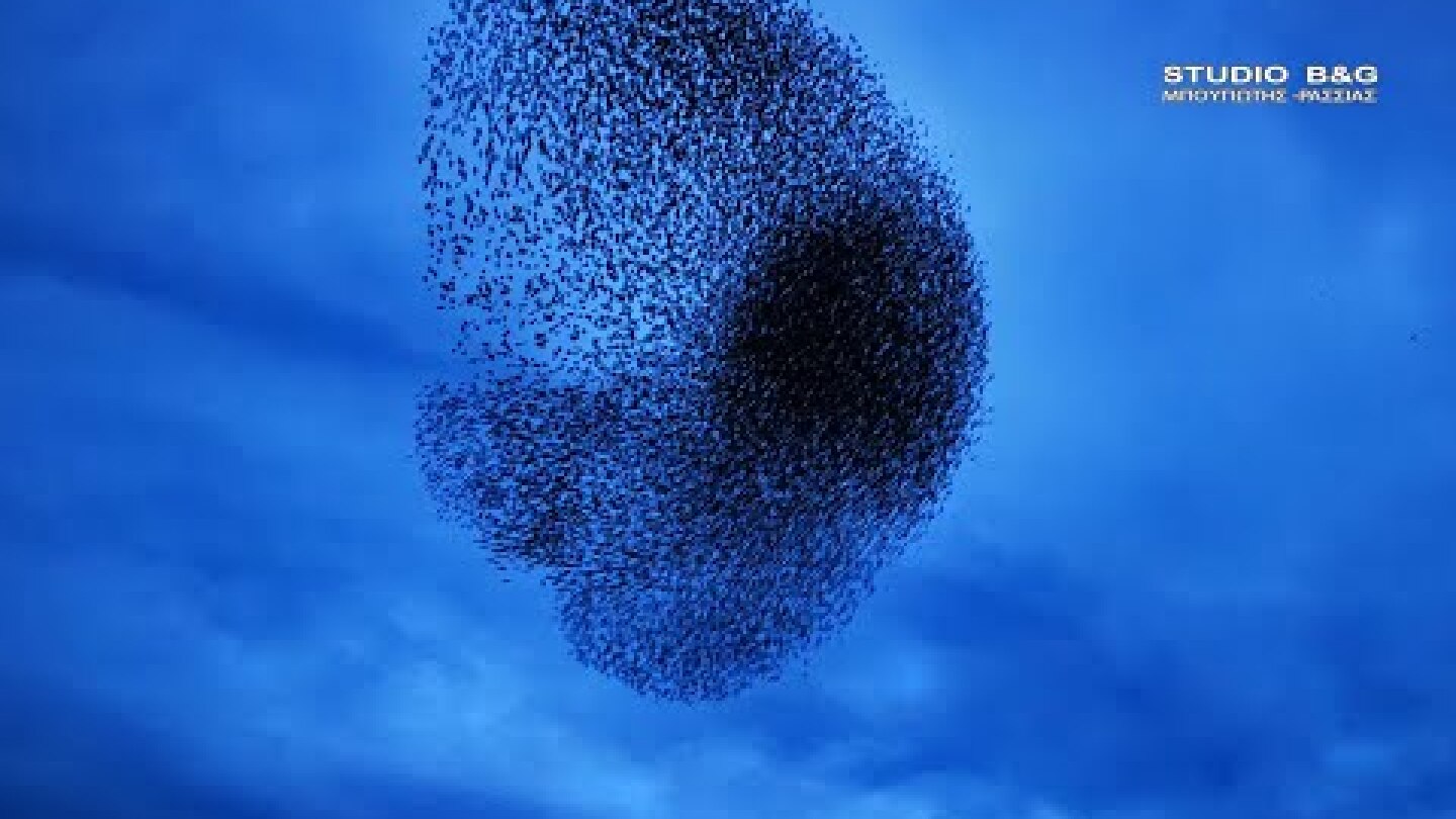 ΑΚΡΟΒΑΤΙΚΕΣ ΦΙΓΟΥΡΕΣ ΑΠΟ ΧΙΛΙΑΔΕΣ ΨΑΡΟΝΙΑ ΣΤΟ ΝΑΥΠΛΙΟ 3/12/2020