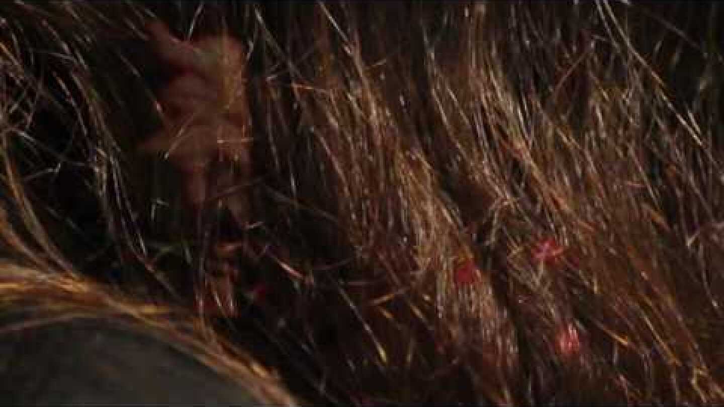 Joalz : Love Sweeps ( Live )