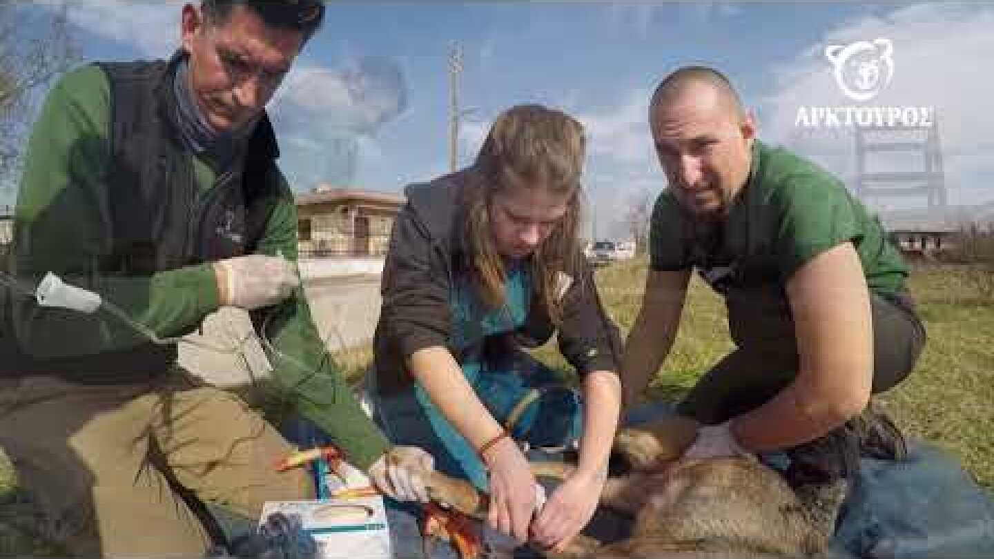 Η επιχείρηση διάσωσης της Ελισάβετ
