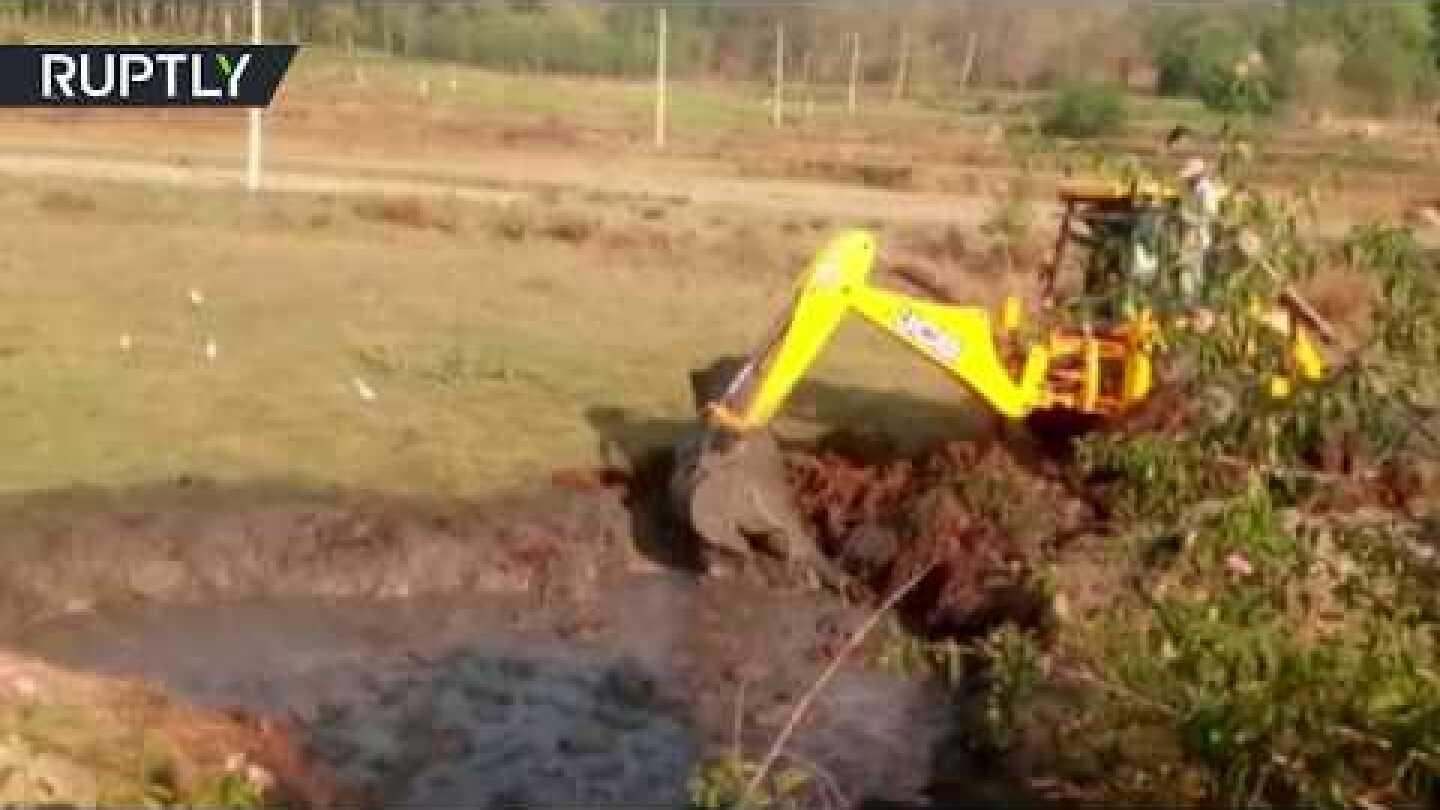 Struggling baby elephant saved after spending night in muddy pit
