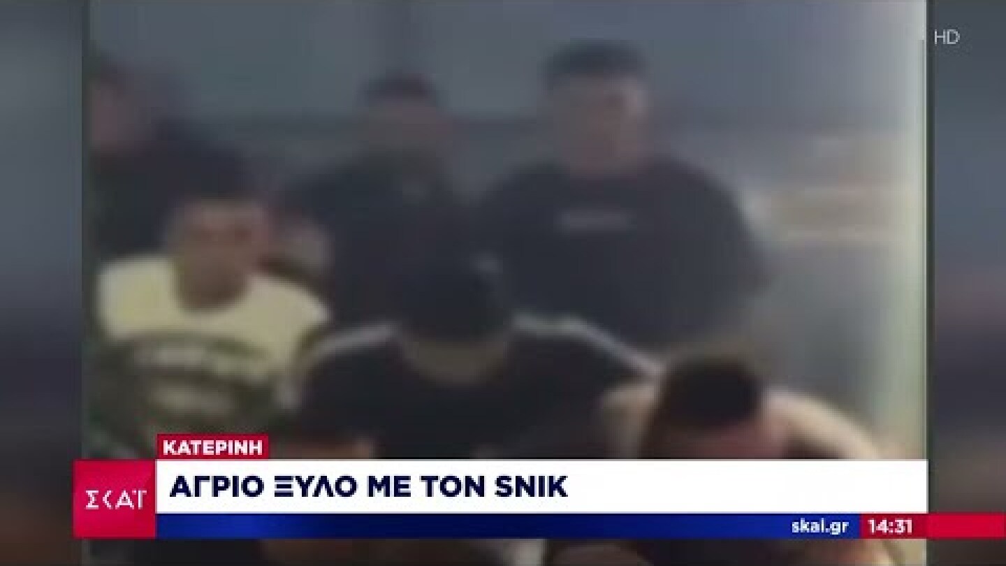 Κατερίνη:  Άγριο ξύλο με τον Snik | Μεσημβρινό δελτίο | 01/09/2022