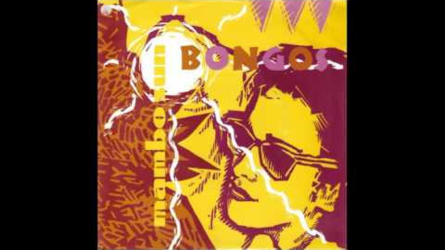 The Bongos - Mambo sun (T-Rex cover)