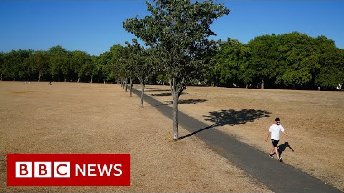 Drought officially declared in parts of England during UK heatwave – BBC News