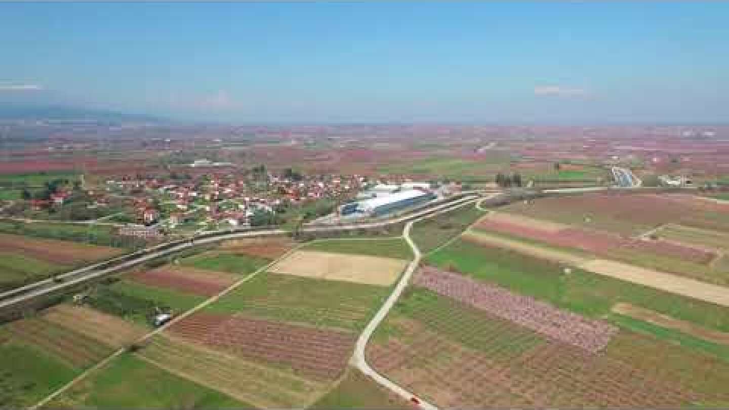 Ανθισμένες ροδακινιές στη Βέροια ΙΙ