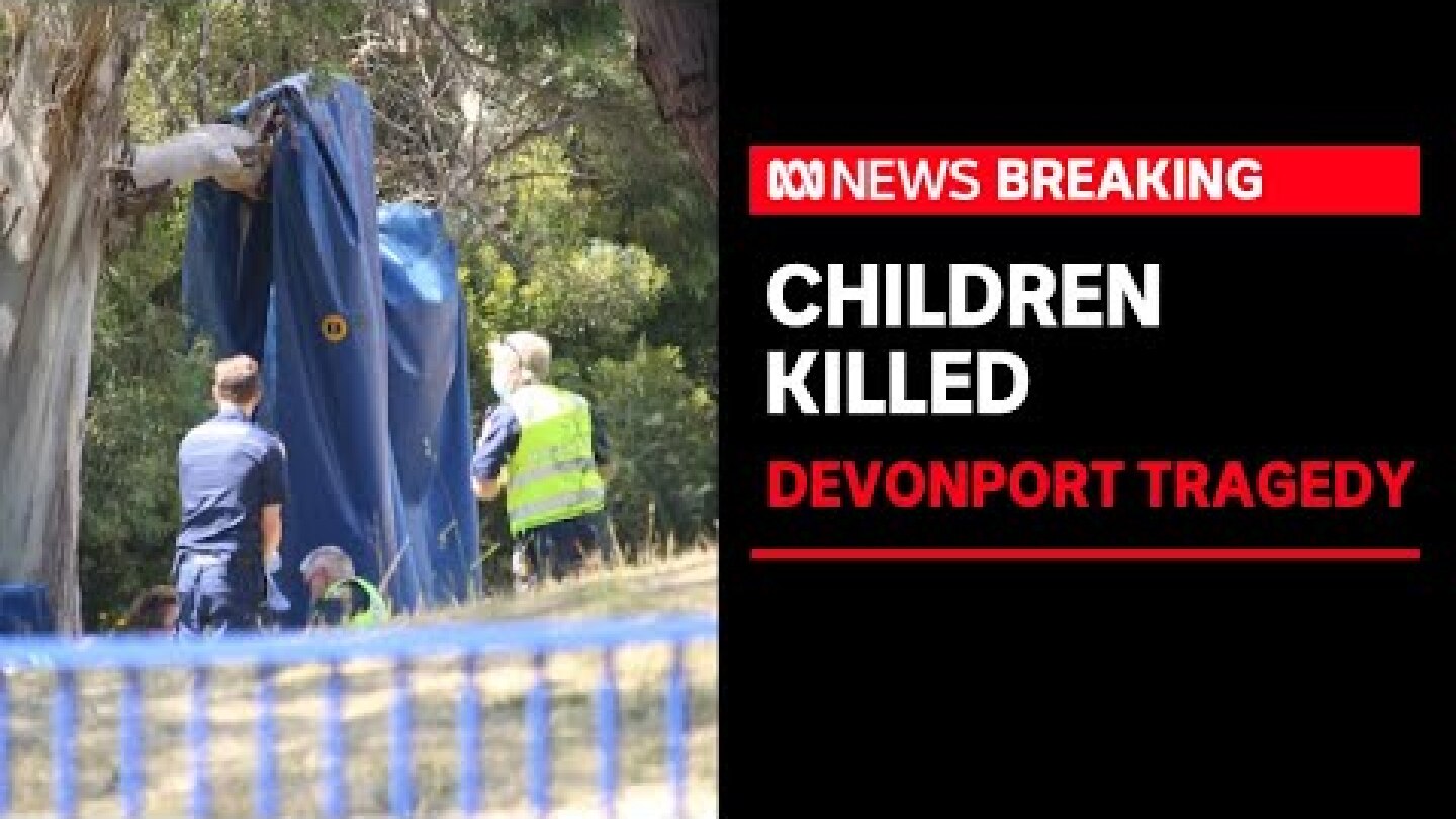 Two children die after jumping castle blown into air at school | ABC News