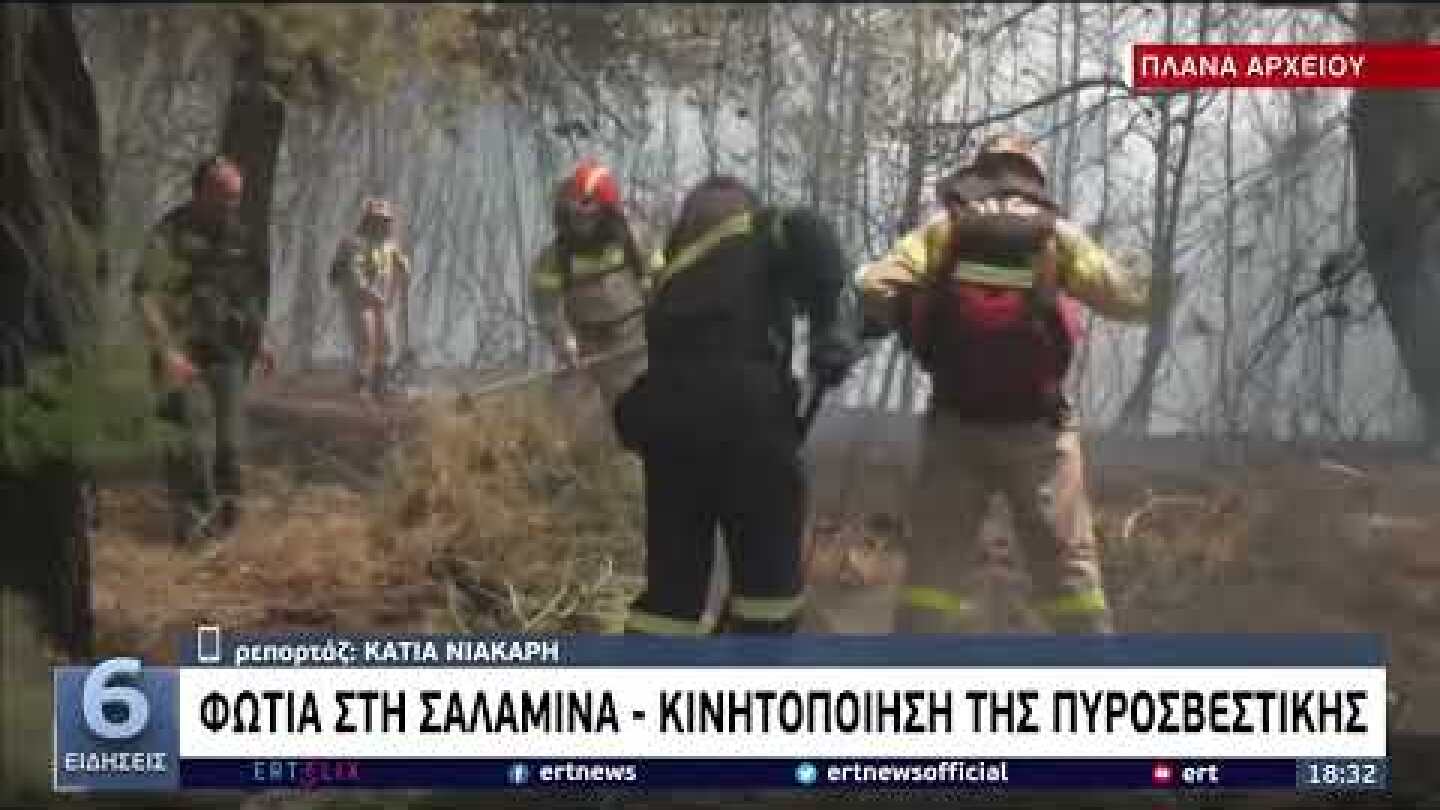 Φωτιά στη Σαλαμίνα - Κινητοποίηση της πυροσβεστικής | 20/07/2022 | ΕΡΤ